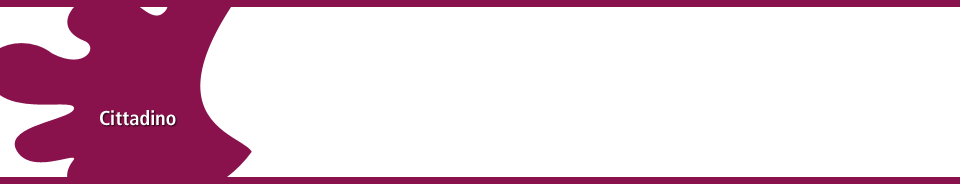 cittadino_stencil_Euregio