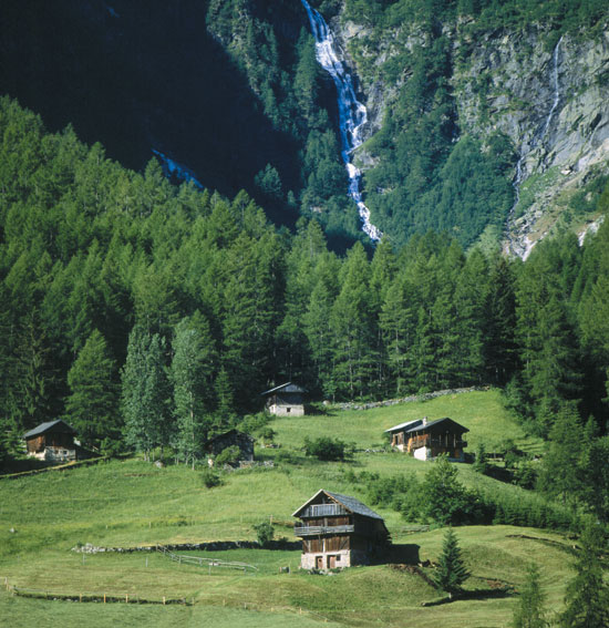 4614_rabbi_i_“masi”_della_val_di_rabbi
