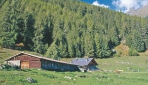 malga-fratte-rabbi