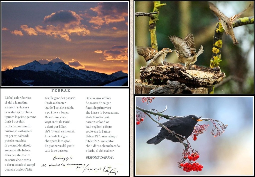 Poesia di Febbraio Simone Daprà