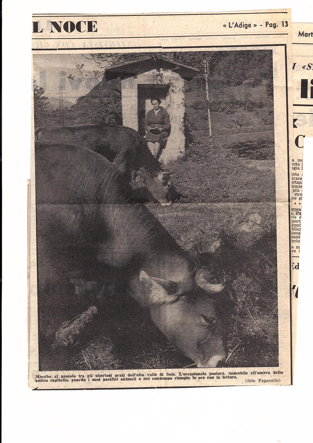 PEJO, UN VILLAGGIO ANTICO PROIETTATO VERSO IL FUTURO (articolo L’Adige 1970)