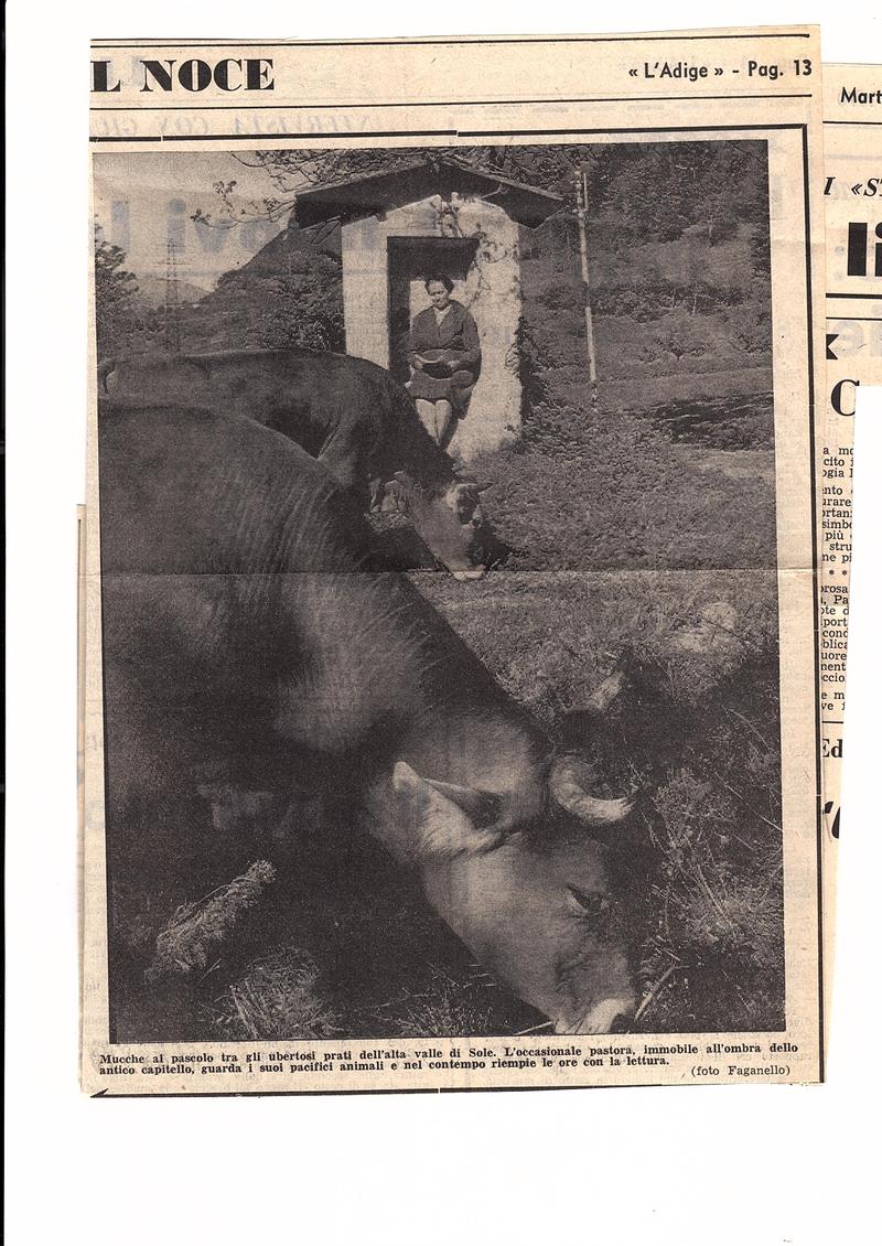 PEJO, UN VILLAGGIO ANTICO PROIETTATO VERSO IL FUTURO (articolo L’Adige 1970)